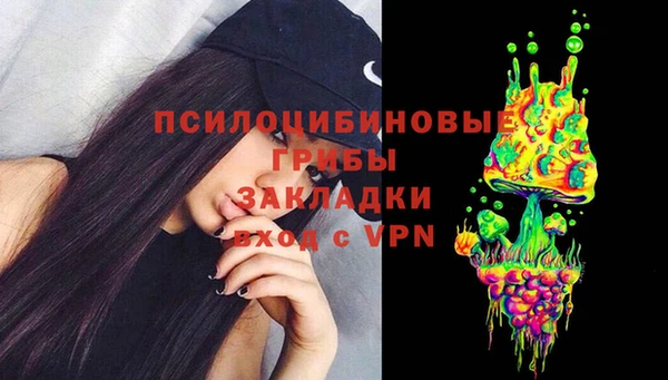 мяу мяу мука Покачи